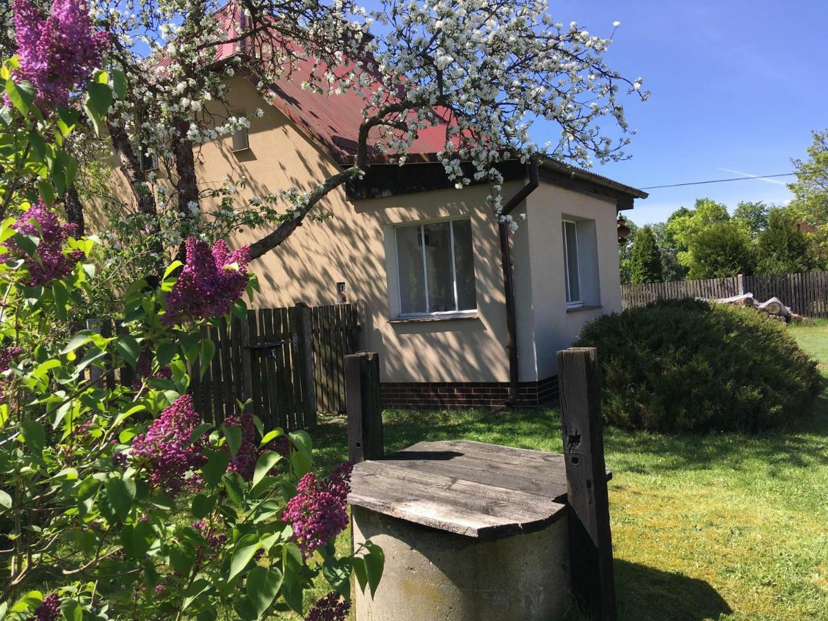 Borywood Villa Male Gacno Exterior photo